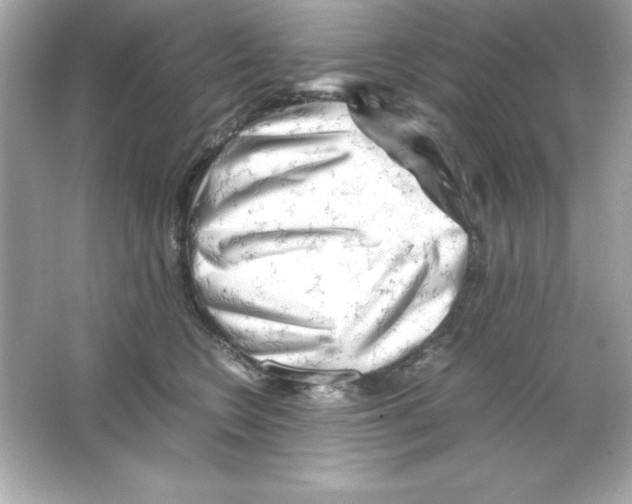 X0000065250566200603172207