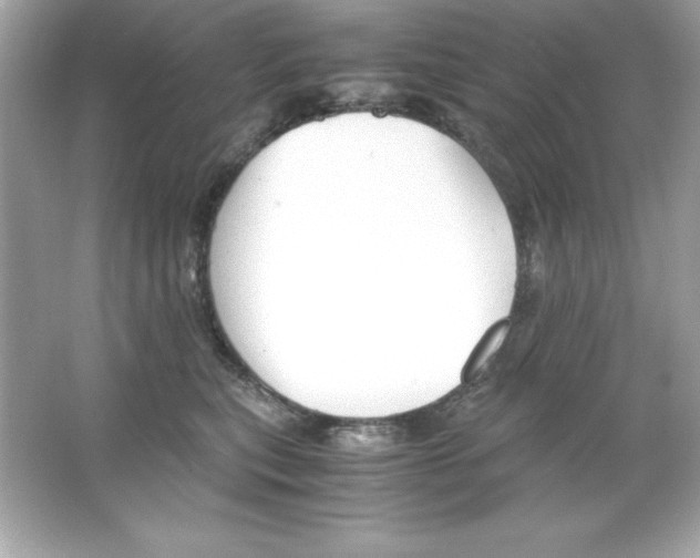 X0000065250567200603172207