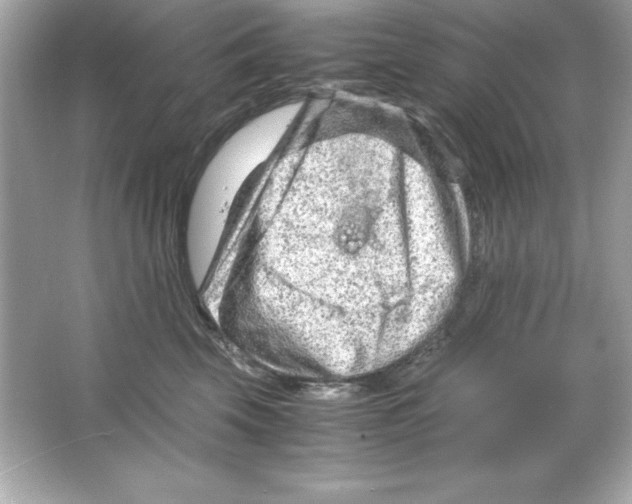 X0000065250569200603172207