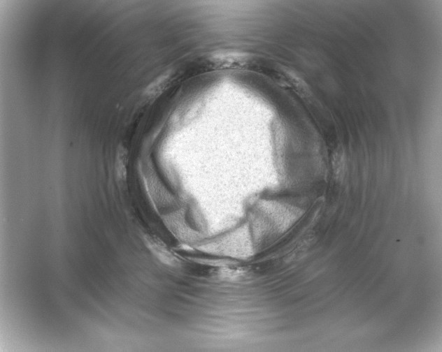 X0000065250570200603172207