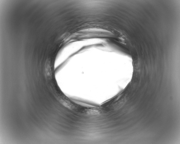 X0000065250572200603172207