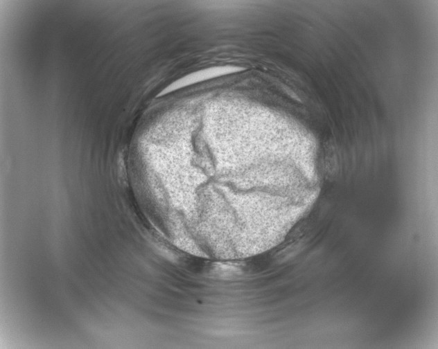 X0000065250573200603172207