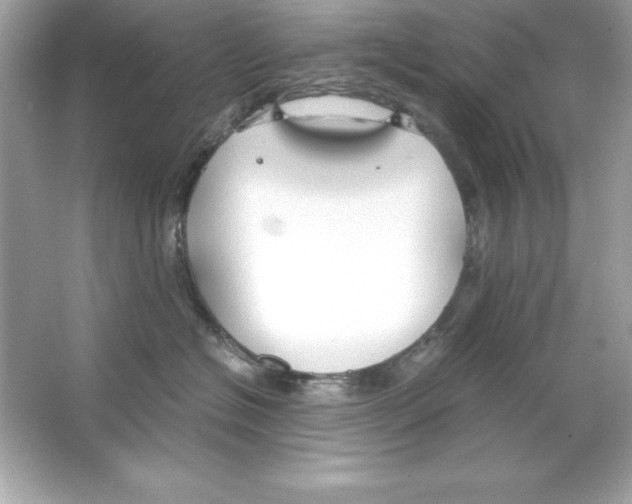 X0000065250574200603172207