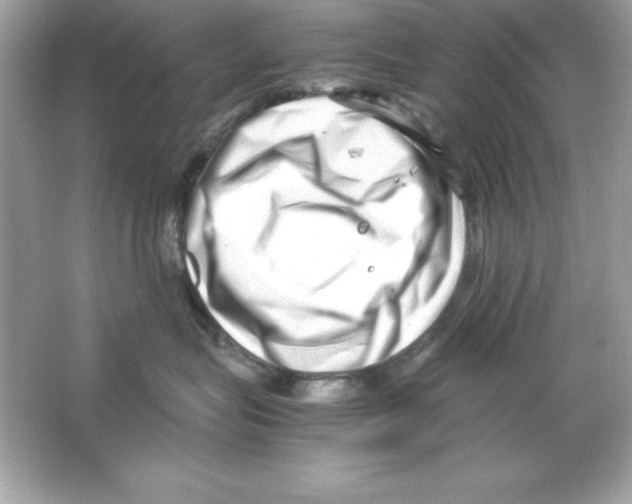 X0000065250575200603172207