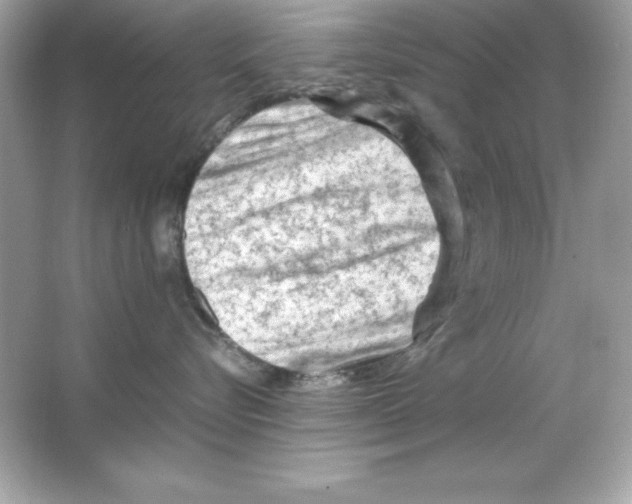 X0000065250576200603172207