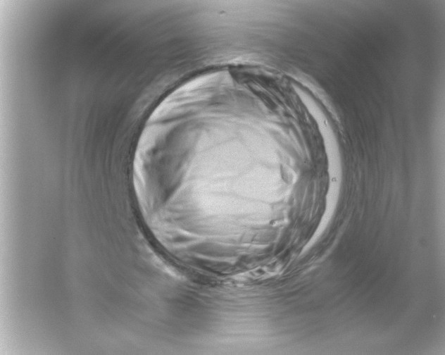 X0000065250577200603172206