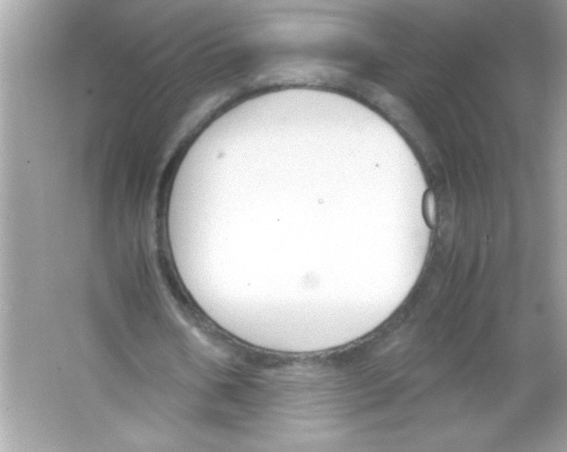 X0000065250578200603172206