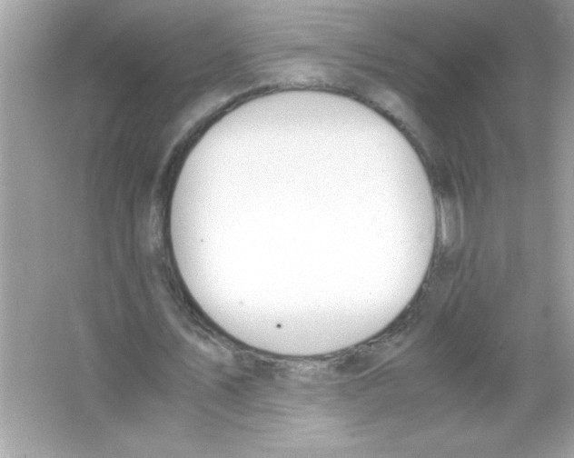 X0000065250579200603172206