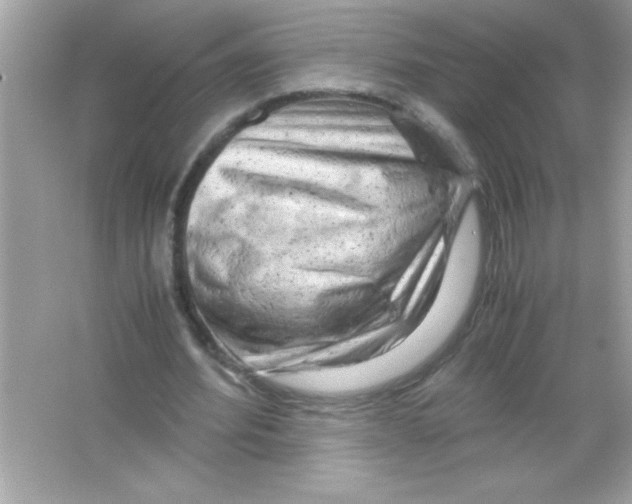 X0000065250580200603172206