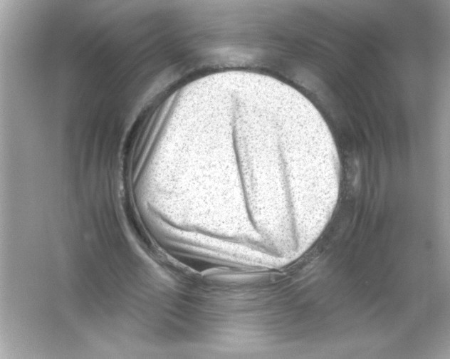 X0000065250582200603172206