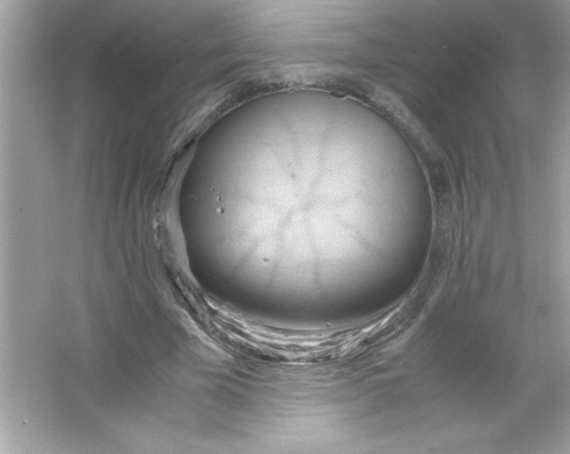 X0000065250585200603172206