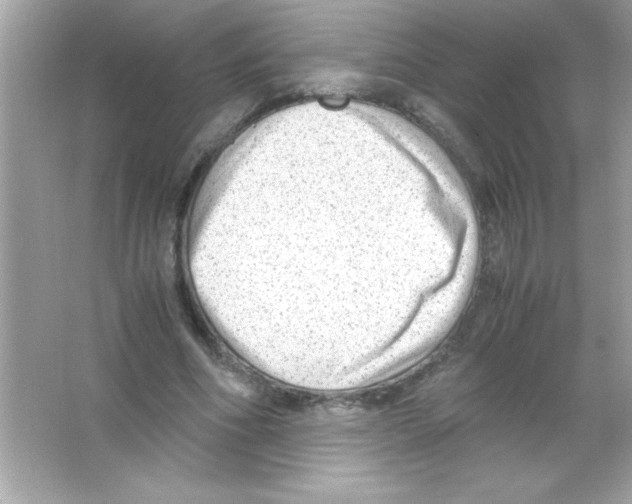 X0000065250586200603172206