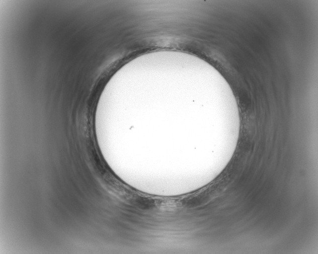 X0000065250587200603172206