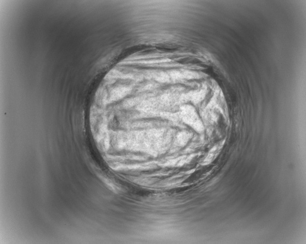 X0000065250589200603172206