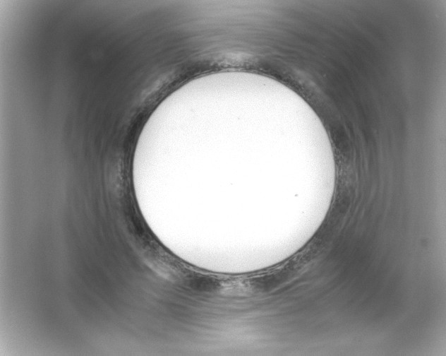 X0000065250591200603172206