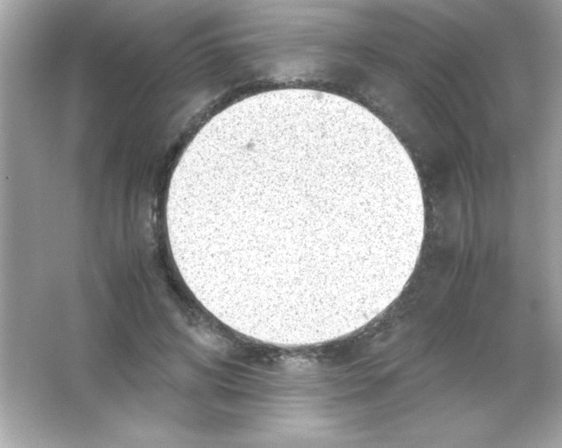 X0000065250592200603172206