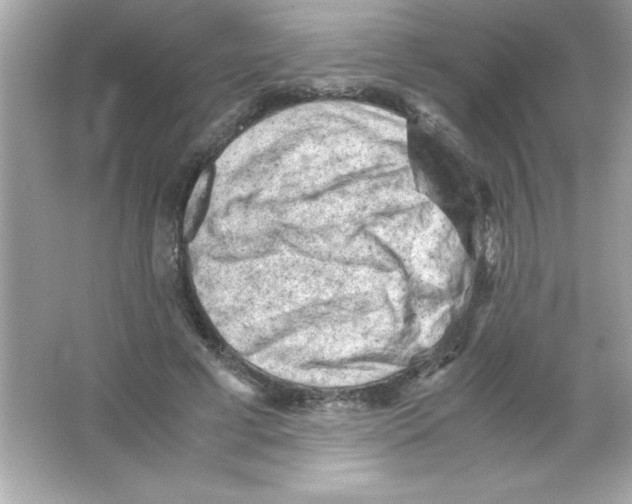 X0000065250593200603172206