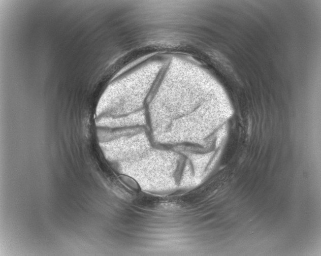 X0000065250596200603172206