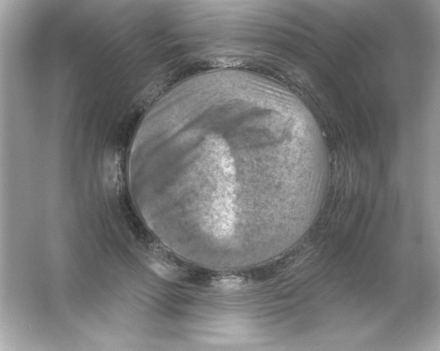 X0000065250598200603172206