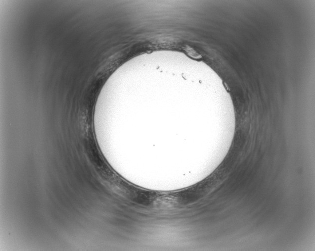 X0000065250599200603172206