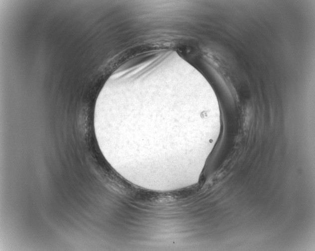 X0000065250600200603172206