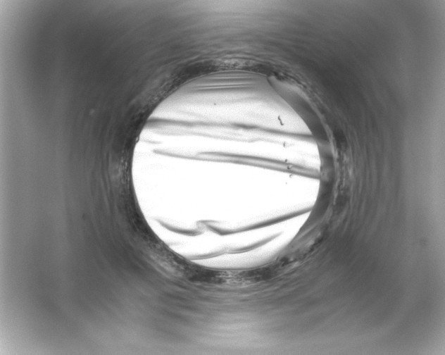 X0000065250601200603172206