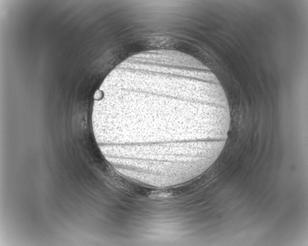 X0000065250602200603172206