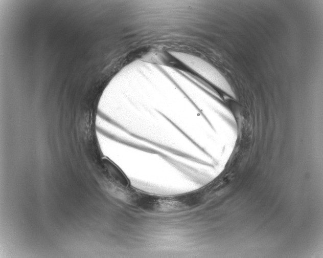 X0000065250605200603172206