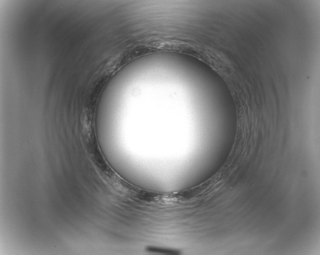 X0000065250607200603172206