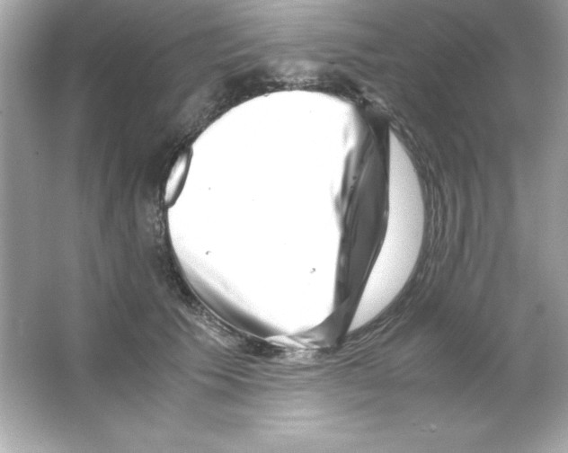 X0000065250609200603172206