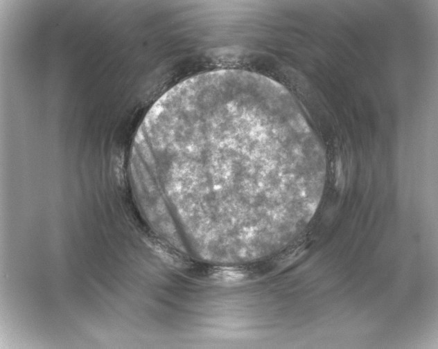 X0000065250610200603172206