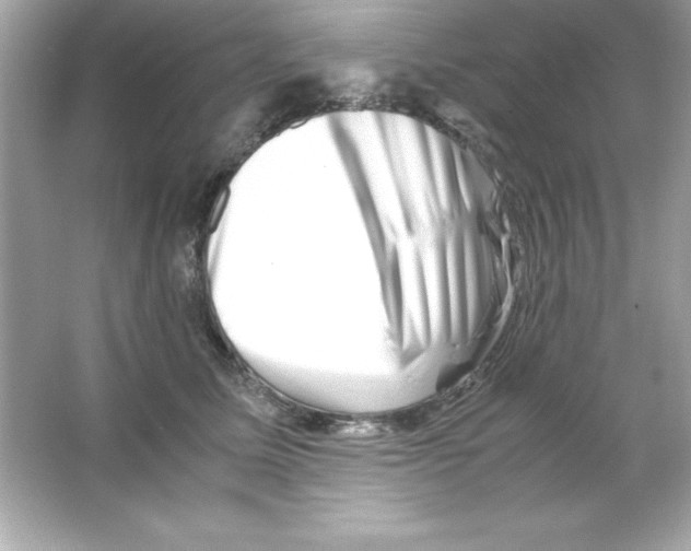 X0000065250611200603172206