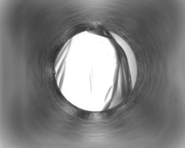 X0000065250613200603172206