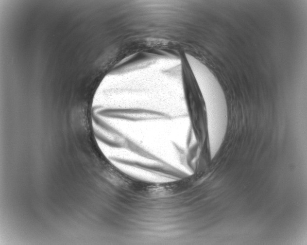 X0000065250616200603172206