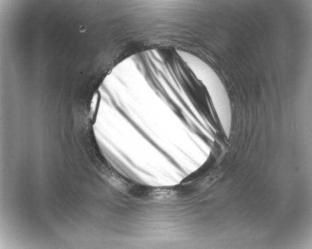 X0000065250617200603172206