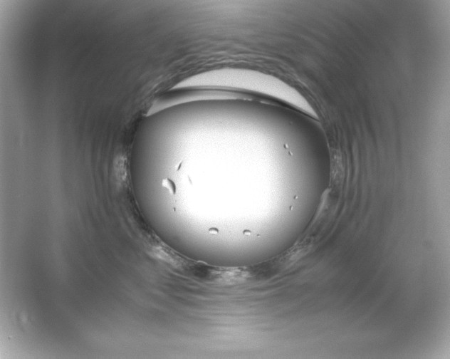 X0000065250621200603172206