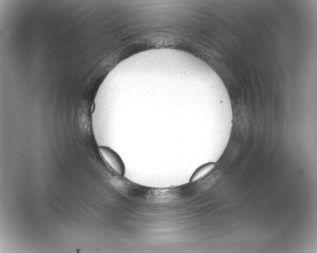 X0000065250622200603172206