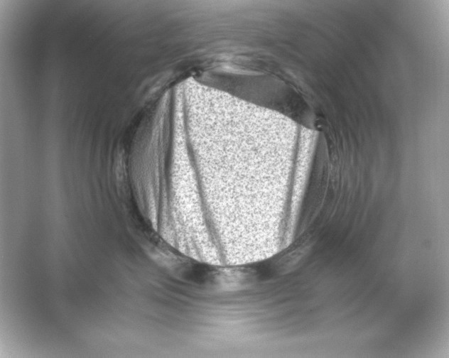 X0000065250623200603172206