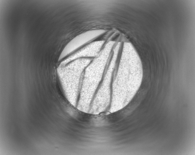 X0000065250624200603172206