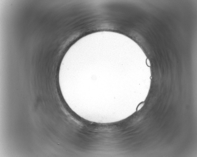 X0000065250625200603172205