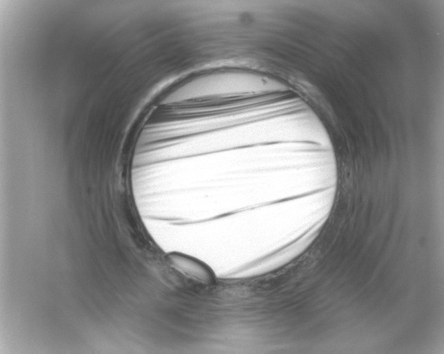 X0000065250628200603172205