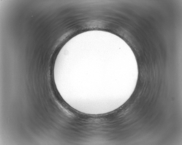 X0000065250629200603172205