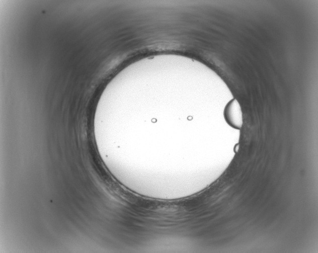 X0000065250631200603172205