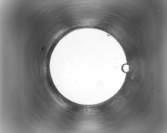 X0000065250632200603172205