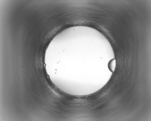 X0000065250633200603172205