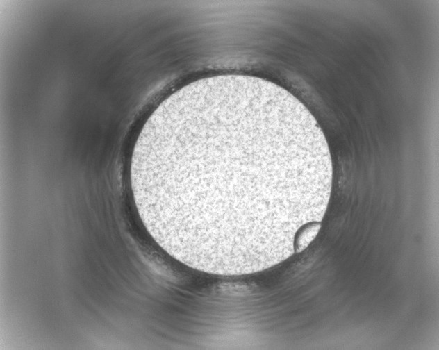 X0000065250636200603172205