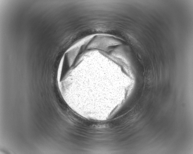 X0000065250639200603172205