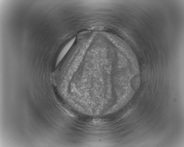 X0000065250641200603172205