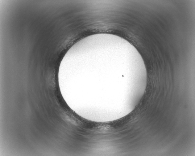 X0000065250642200603172205