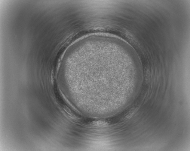 X0000065250644200603172205